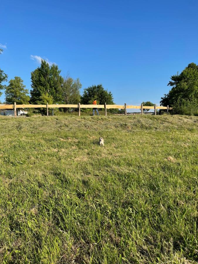 Naturnahes, Neu Moebl.Apartment, Hundefreundlich Neu Gaarz Kültér fotó